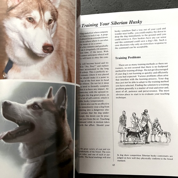 💖NEW 90s Siberian Huskies Dog Pet Owners Guidebook Hardback Color Photographs💖 - Picture 14 of 16